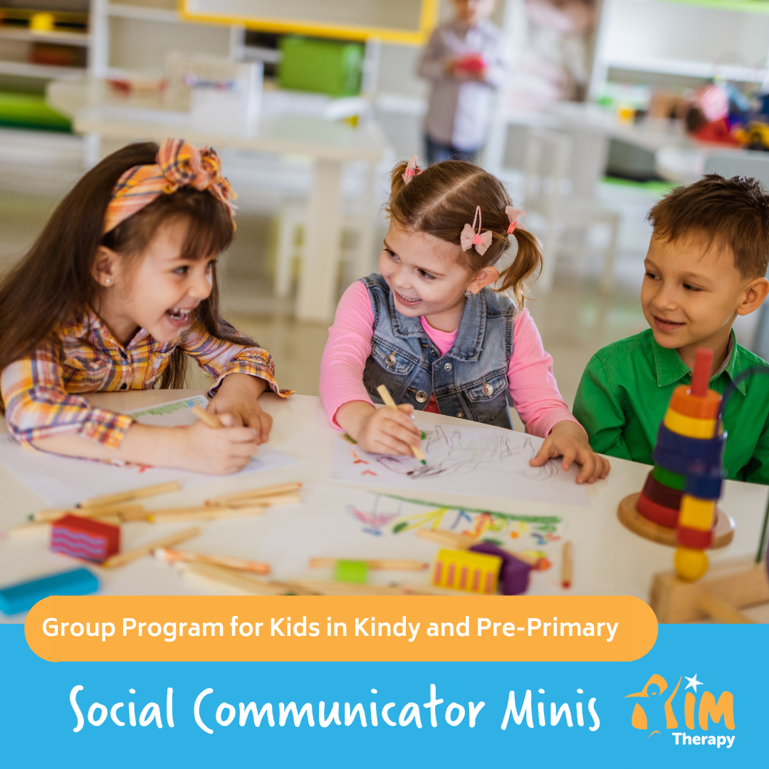 Social Communicator Minis Cover